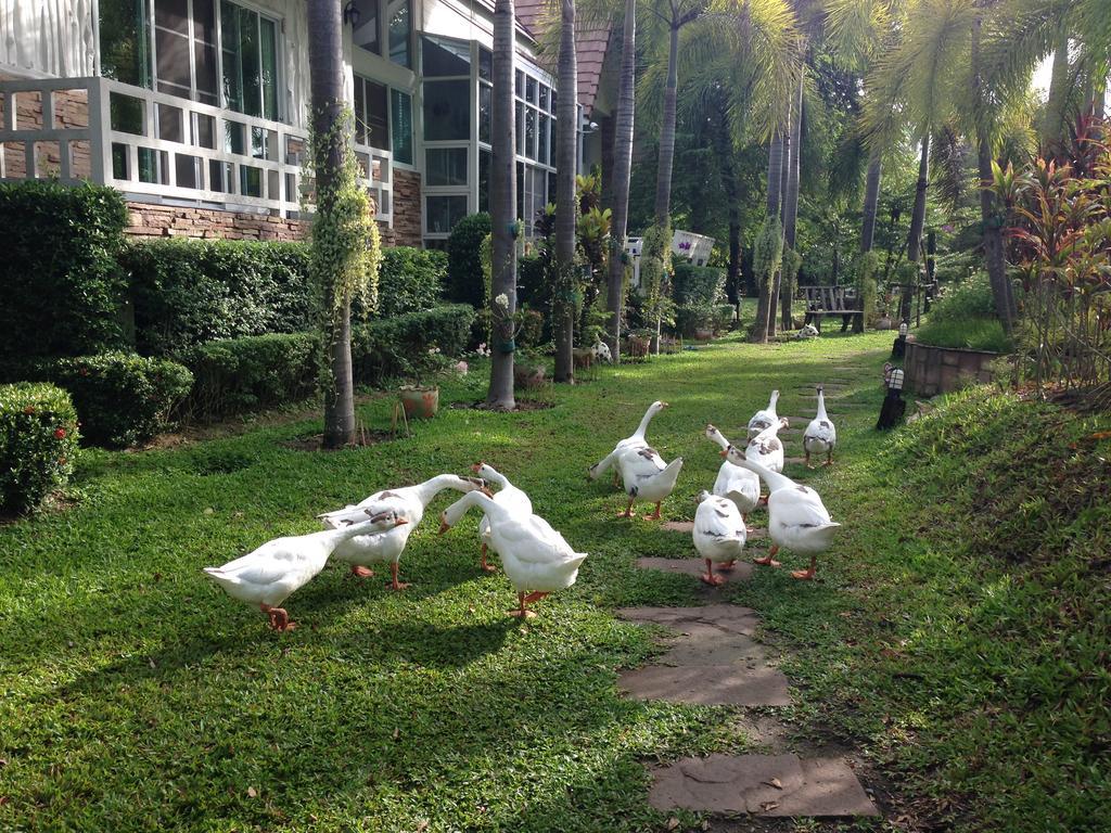 Watermill Resort Nong Nam Daeng Luaran gambar