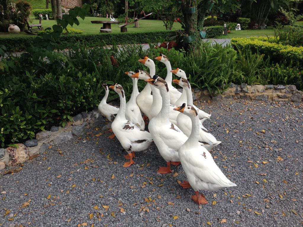 Watermill Resort Nong Nam Daeng Luaran gambar